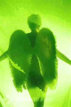 an artistic image of a woman with wings on her body and in the background is a green light