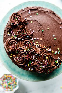 a chocolate cake with sprinkles on a plate