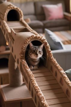 a cat sitting in a cardboard tunnel on the floor