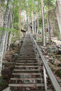 an old set of stairs leading up to the top of a hill in the woods