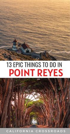 the ocean and trees with text overlay that reads 13 epic things to do in point reyes