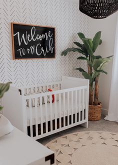 a baby's room with a white crib, potted plant and welcome to my girl sign