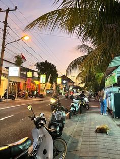 motorcycles parked on the side of a street next to palm trees and people walking down the sidewalk