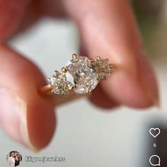 a person holding an engagement ring with two diamonds in it's middle and the other hand