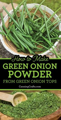 how to make green onion powder from green onion tops