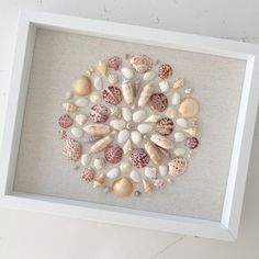 a white frame with sea shells in it