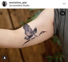 a person with a tattoo on their arm and the bird is flying in the air