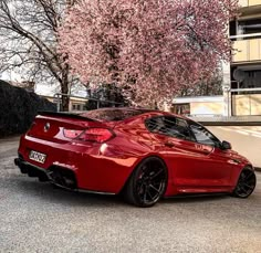 a red sports car parked in front of a tree with blossoming trees behind it