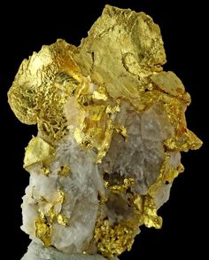 Jamestown California, Gold Specimens, Panning For Gold, Rock And Mineral, Rocks And Fossils, Geology Rocks, Gold Money, Gold Mining, Gold Nugget