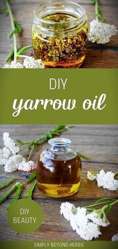 Create your own DIY Yarrow Oil with our guide, a highlight in our DIY Beauty & Homemade Beauty Products series. This homemade oil leverages the healing properties of yarrow for skin and hair care. It's a natural, effective solution for various skin and hair concerns, embodying the essence of DIY health and beauty. Learn more about the benefits of DIY and homemade beauty products. Find more Natural Oils, Herbal Oils for Skin, and Homemade Skin Care at simplybeyondherbs.com. Yarrow Oil, Yarrow Essential Oil, Yarrow Plant, Yarrow Flower, Herbal Salves, Skin And Hair Care, Homemade Oil, Herbal Tinctures, Homemade Beauty