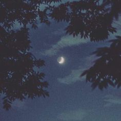 the moon is seen through some trees at night