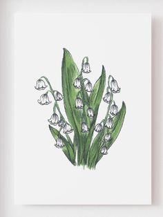 a drawing of some white flowers on a white background with green stems and leaves in the center