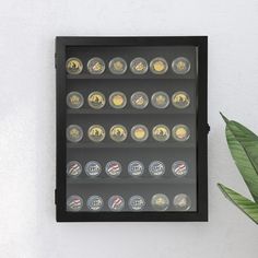 a wall mounted display case filled with coins