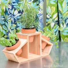 three potted plants in wooden planters on a table