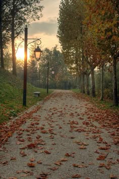 a path with leaves on the ground and a light post in the background that says, what if trees refuse to let go of their dying leaves? letting go makes us green