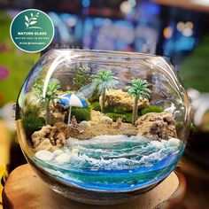 a glass bowl filled with water and plants