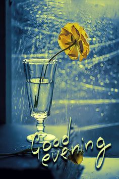 a yellow flower sticking out of a glass with the words good evening written below it