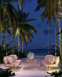 an outdoor seating area with palm trees and lights strung from the ceiling, along with hanging chairs