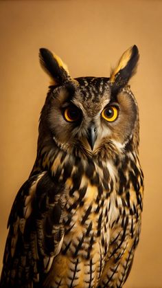 an owl with yellow eyes is sitting on a table in front of a brown background