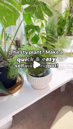 there is a table with plants on it and the caption says, this plant? make a quick & easy self - wa