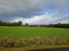 a green field is seen from the side of a car window as it passes by