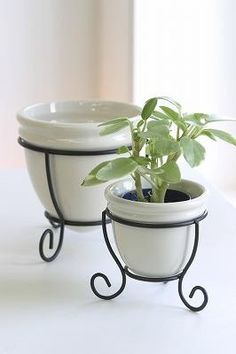 two white bowls with plants in them on a table