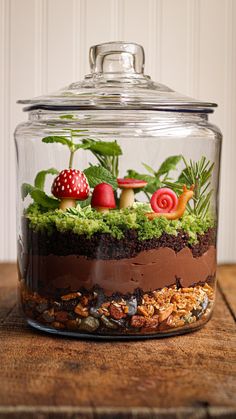 a glass jar filled with plants and mushrooms