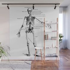 a skeleton is shown on the wall in this room