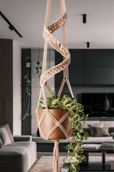 a plant hanging from a rope in a living room