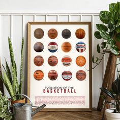 a framed poster with basketballs on it next to potted plants