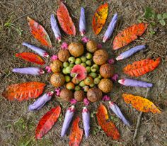 an arrangement of fruits and vegetables arranged in the shape of a flower on the ground