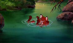 the little red dog is swimming in the water