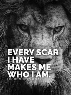 a lion with the words, every scar i have makes me who i am