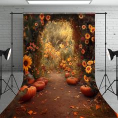 an image of pumpkins and sunflowers on the ground