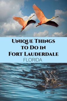 Unique things to do in Fort Lauderdale