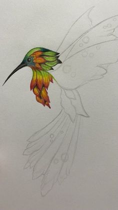 a drawing of a hummingbird flying in the air