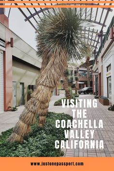 a palm tree with the words visiting the coachella valley california