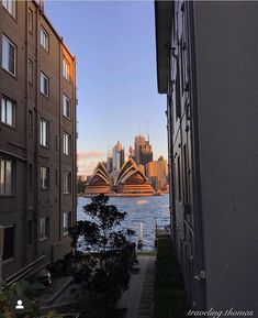 the sydney opera house as seen from an alley way in front of some tall buildings