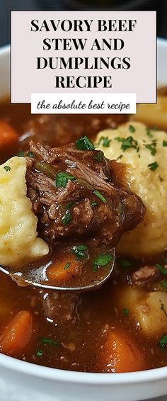 a spoon full of beef stew and dumplings in a white bowl with the words savory beef stew and dumplings recipe