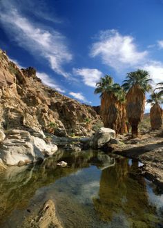 palm trees are reflected in the water near some rocks and boulders on a sunny day