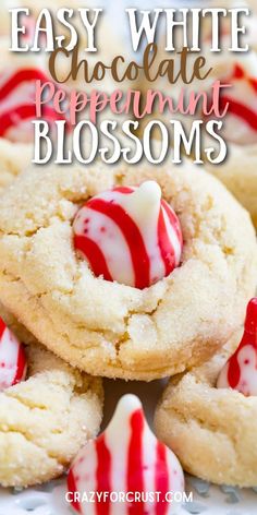 easy white chocolate peppermint blossom cookies on a plate