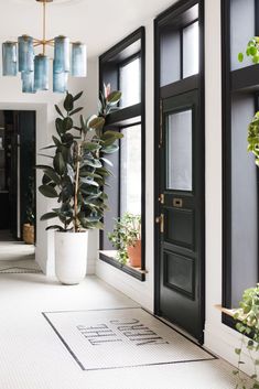 a plant in a white pot on the floor next to a black door and windows