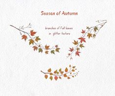 an autumn card with leaves on it and the words season of autumn written in red