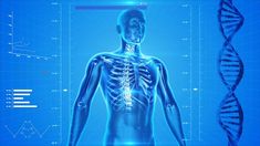 an image of a man's skeleton in front of a blue background with diagrams