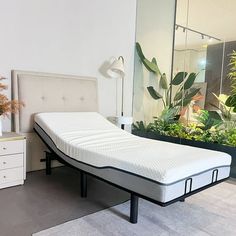 a bed with a mattress on top of it in a room next to a plant