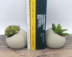 two white vases with succulent plants in them next to a bookshelf