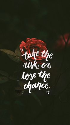 a red rose with the words take the risk out, love the chance