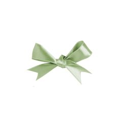 a green bow on a white background