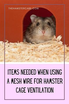 hamster mesh wire, mesh wire for hamsters, hamster cage diy, hamster pet, hamster care, hamster care guide, hamster guide, hamster, hamster tips, pets, rodents, best pets, hamster proper care, syrian hamster, dwarf hamster, hamster care tips, how to take care of a hamster Wire Mesh