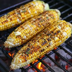 grilled corn on the cob is being cooked